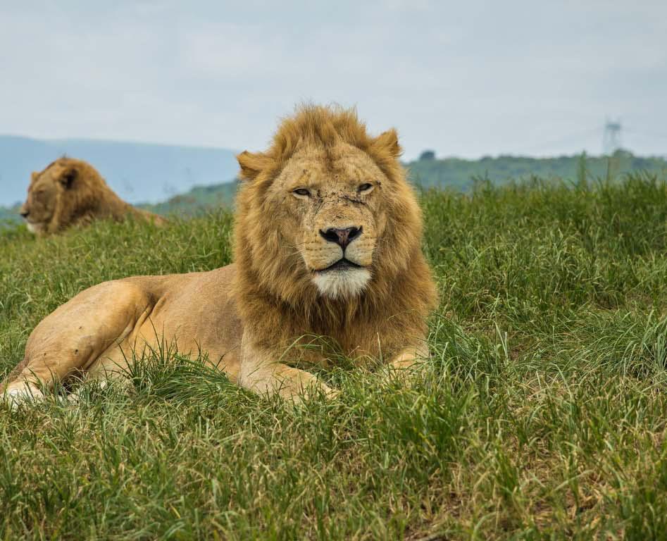 KwaZulu-Natal