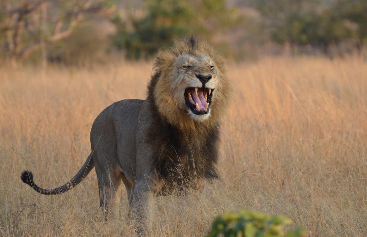 Mpumalanga